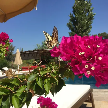 Ξενοδοχείο Ucurtma Akcapinar (Mugla)