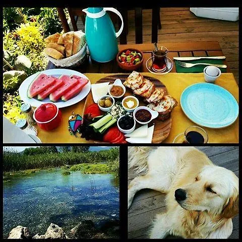 Ucurtma Akcapinar (Mugla)