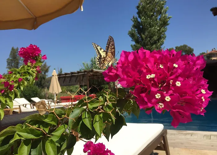 Szálloda Ucurtma Akcapinar (Mugla)